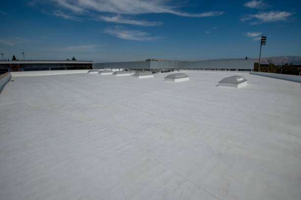 Best Green or Eco-Friendly Roofing Solutions  in Landen, OH
