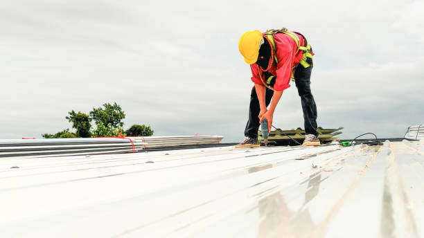 Best Asphalt Shingle Roofing  in Landen, OH
