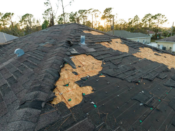 Best Cold Roofs  in Landen, OH